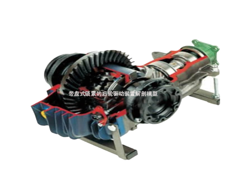 帶盤式鎖緊的后輪驅動裝置解剖模型